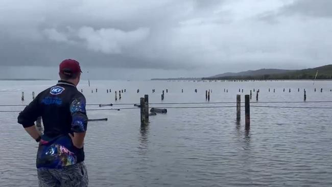 Bulimba Oyster Company's entire second harvest has been stolen in a major blow to the oyster industry.