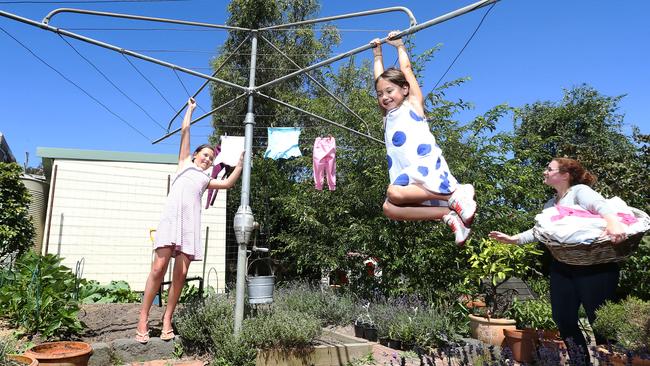 A backyard hoist getting a workout.