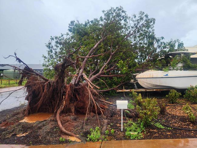 This handout photo taken and posted by Bianca Katai on Facebook on February 14, 2025 shows an uprooted tree as Cyclone Zelia made landfall in a suburb of Port Headland, Western Australia. Category five Cyclone Zelia churned into Australia's minerals-rich west coast on February 14, with gusts of 290 kilometres per hour sparking emergency warnings and port closures. (Photo by Handout / FACEBOOK account of Bianca Katai / AFP) / RESTRICTED TO EDITORIAL USE - MANDATORY CREDIT "AFP PHOTO /  FACEBOOK account of Bianca Katai" - NO MARKETING NO ADVERTISING CAMPAIGNS - DISTRIBUTED AS A SERVICE TO CLIENTS - NO ARCHIVE