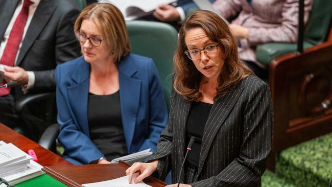 Treasurer Jaclyn Symes (right) has revealed major cuts to the CFA, FRV and VicSES funding, despite imposing a new $1.55 billion emergency service tax.