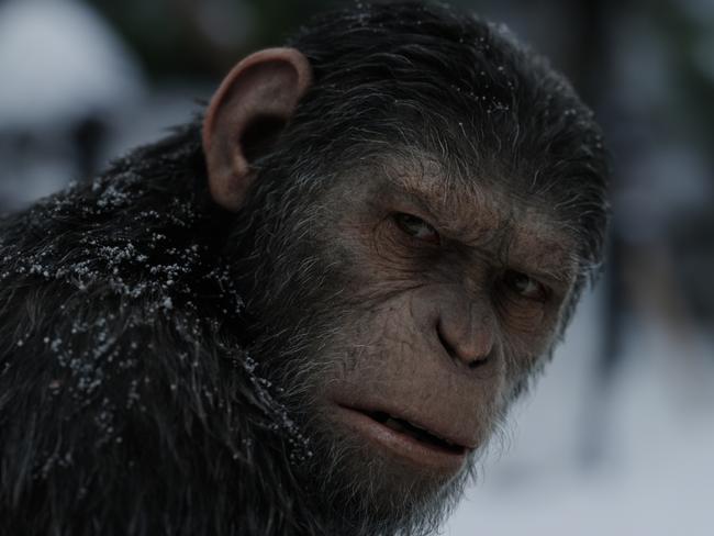 Andy Serkis went to some dark places to play Caesar in War for the Planet of the Apes. Picture: Twentieth Century Fox