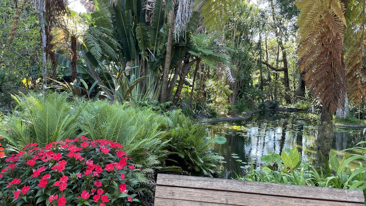 The gardens looked beautiful as a night of rain gave way to sunny skies at the Australia Day ceremony at the North Coast Regional Botanic Garden in Coffs Harbour. Picture: Matt Gazy