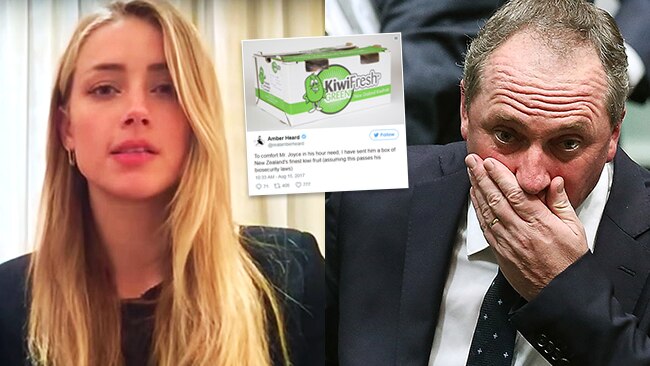 Barnaby Joyce Amber Heard Hits Back With Kiwi Fruit Tweet Au — Australias Leading 5259