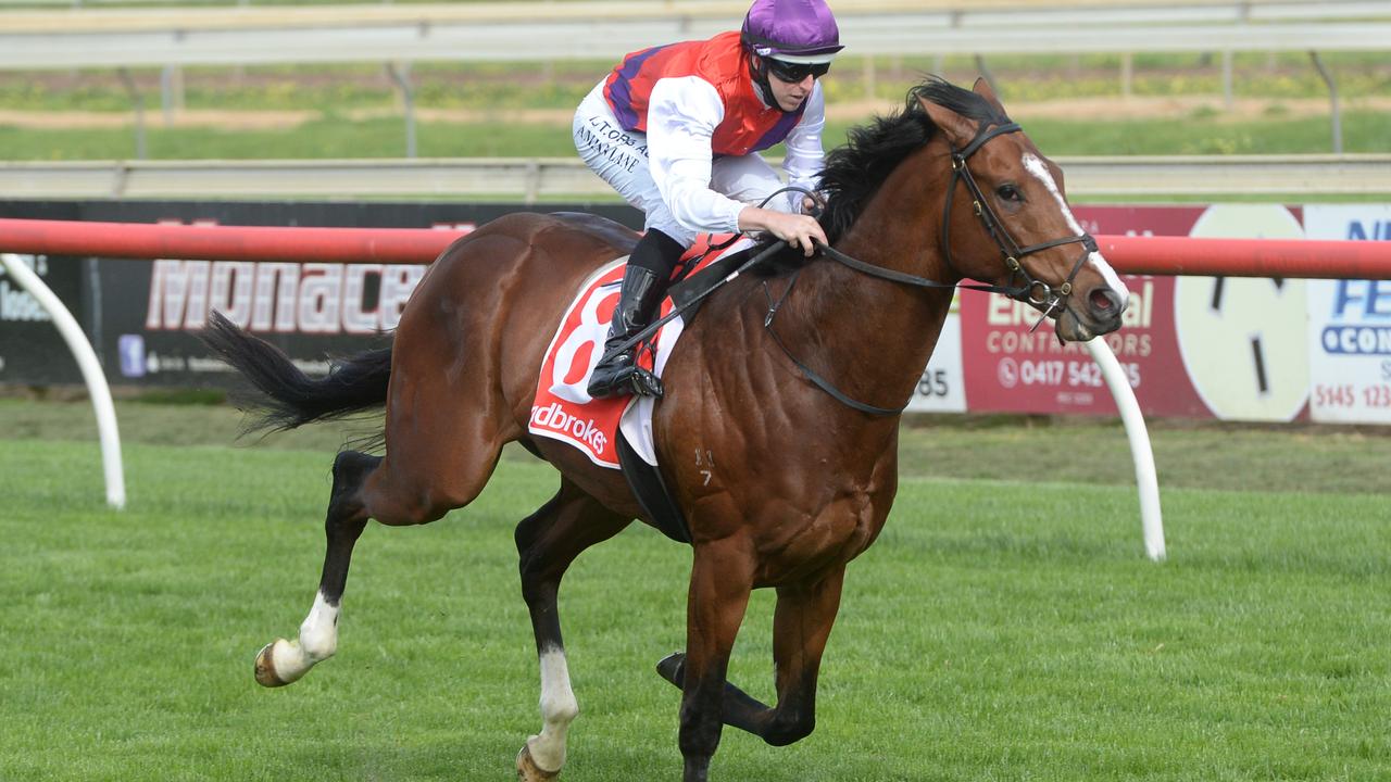 Ain'tnodeeldun is our best bet on race day. (Ross Holburt/Racing Photos via Getty Images)