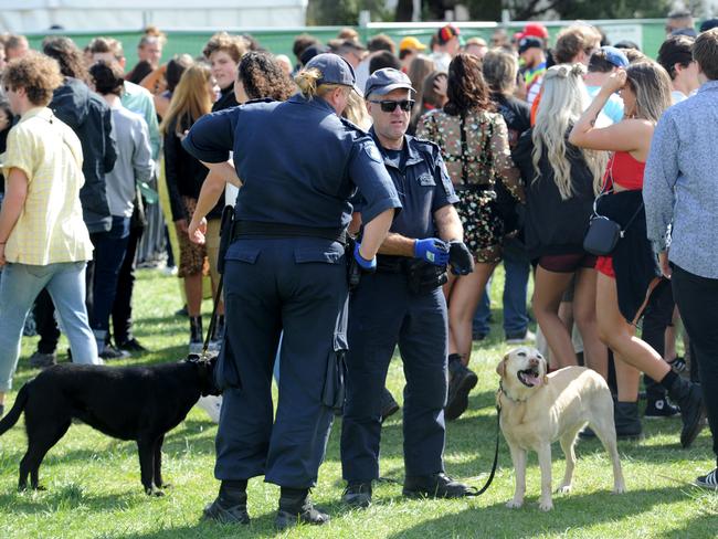 Police inspect patrons for illegal drugs entering the Listen Out Loud Festival. Picture: Andrew Henshaw