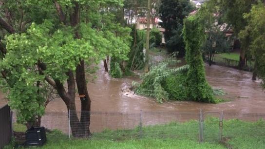 Darling Mills Creek at Northmead, taken from a backyard.