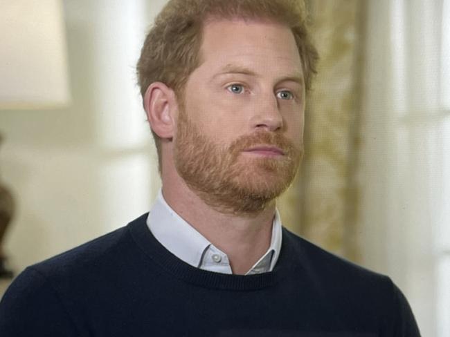 Prince Harry said his family were “in bed with the devil”.