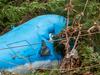All’s whale that ends whale as Xmas icon breaks free in storm