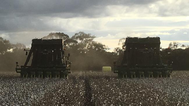 A local farming syndicate has purchased the Boondilla (656ha) block and will lease the Wondaree (745ha) and Old Ringwood (621ha) portion.