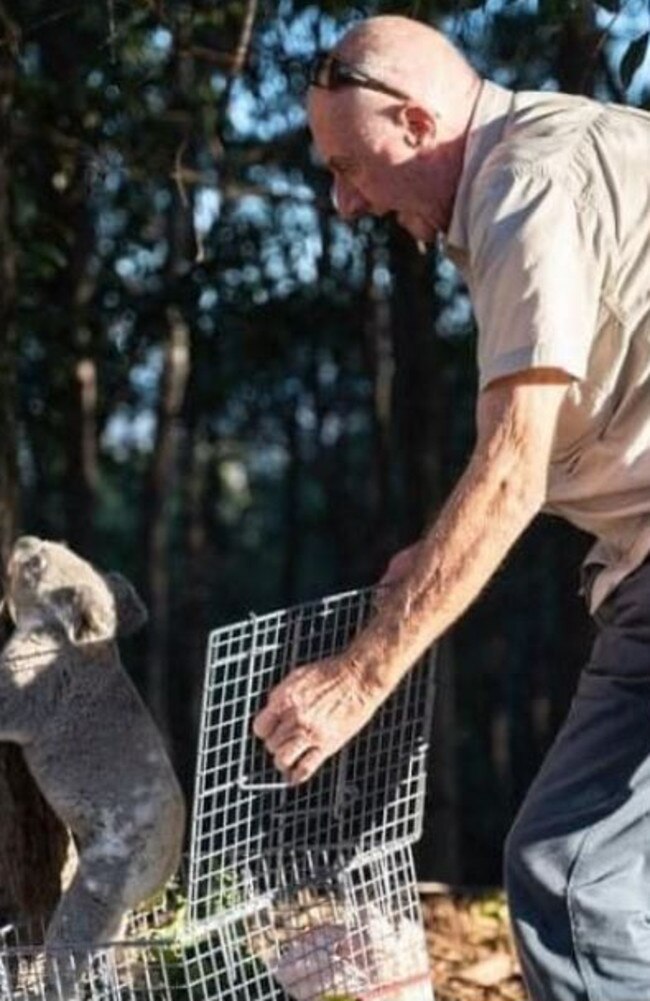 Koala rescuer John Knight says a multi-level carpark on one edge of the site would have minimised damage.