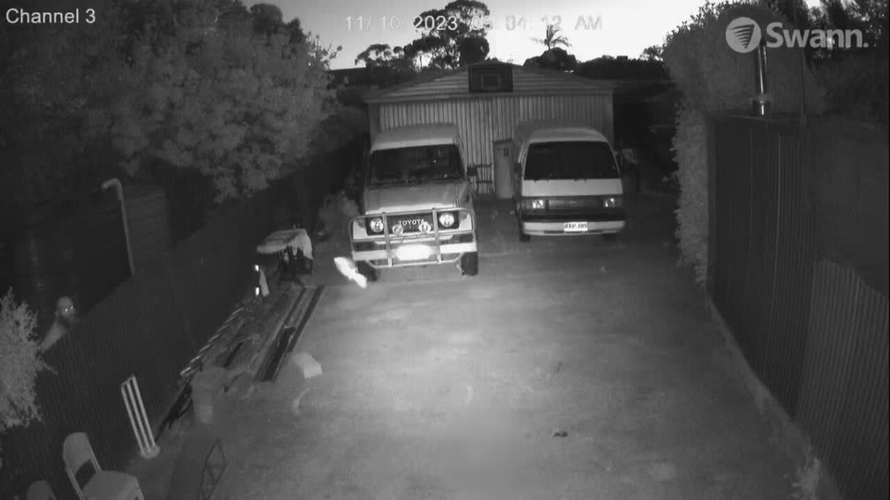 Desmond Fowler pointing a gun at his neighbour