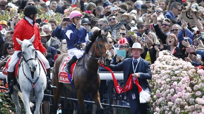 Last year’s Melbourne Cup winner Rekindling. Picture: David Caird