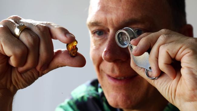 Monash University associate professor Jeffrey Stilwell with an amber-encrusted insect. Picture: Aaron Francis