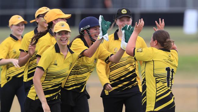 The number of girls cricket teams in Geelong has risen by more than 50 per cent over the past four seasons. Picture: Mark Wilson