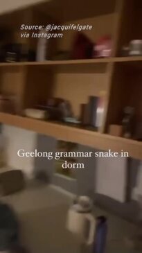 Snake in Geelong Grammar dorm room