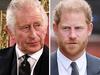 ‘Massive headaches’: Coronation in ‘chaos’