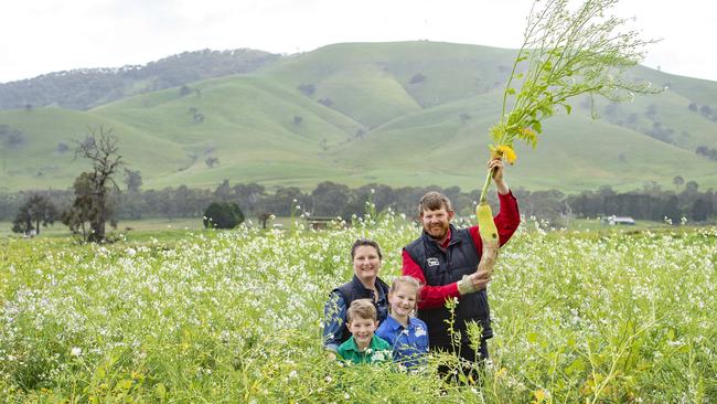 Ten years after starting their rare-breed Berkshire operation, Belinda and Jason Hagan, and their children, Eric and Hannah, have expanded sow numbers and thrown themselves into regenerative agriculture. Jason with a daikon radish, part of his pasture crop mix. Picture: Zoe Phillips