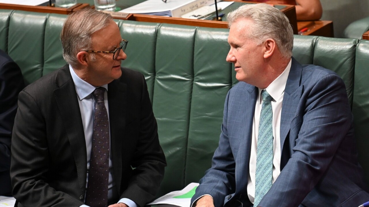 Anthony Albanese and Tony Burke ‘do not want to upset’ pro-Palestinian voters