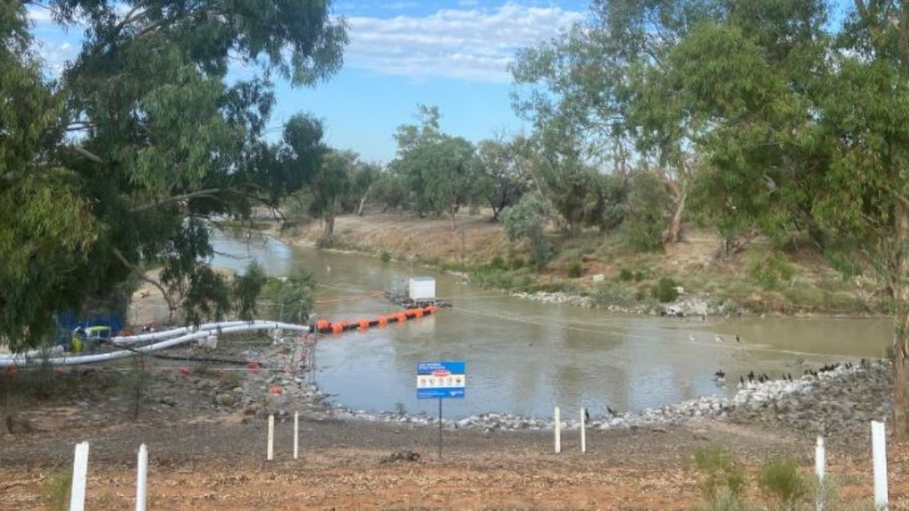 ‘Almost $3m a fish’: Scepticism over fishway