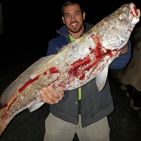 Mark Coleman, a fisherman in fine form, says fishing is the best it has been in the Tweed River for years.