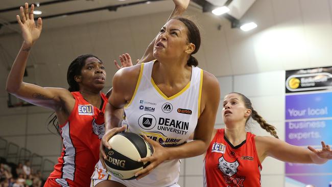 The stadium is already home to the Melbourne Boomers WNBL team, with players including Liz Cambage. Picture: Yuri Kouzmin