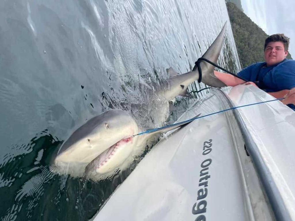 Addison Hodge, 15, was fishing with friends on the weekend when he caught a 2.8m bull shark. Picture: Mosman Collective