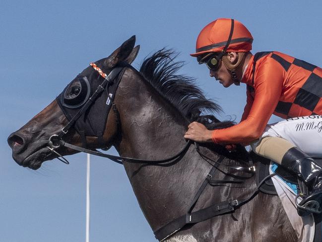 Jockey Matthew McGillivray riding Peppi La Few to victory in the Class 6 Handicap (1400m) at the Gold Coast Turf Club on Friday, April 3, 2020. Picture credit: Greg Irvine, Magic Millions.