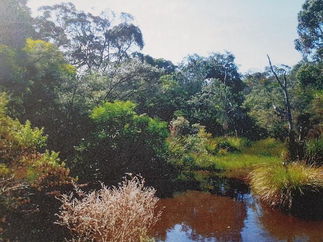 Chris Judd’s Arthurs Seat property before his company illegally cleared 3000sq m due to Judd's fears about snakes and bushfires