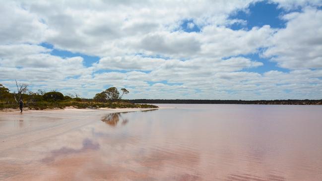 Travel out to the Murray Sunset National Park to see the famous Pink Lakes.