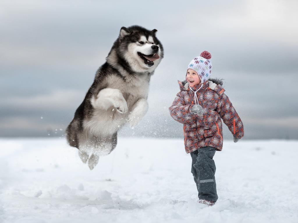 Little kids and hot sale their big dogs