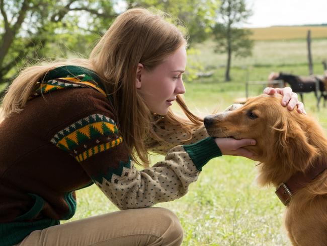 Teen Hannah (Britt Robertson) in a scene from A Dog’s Purpose. Picture: Joe Lederer