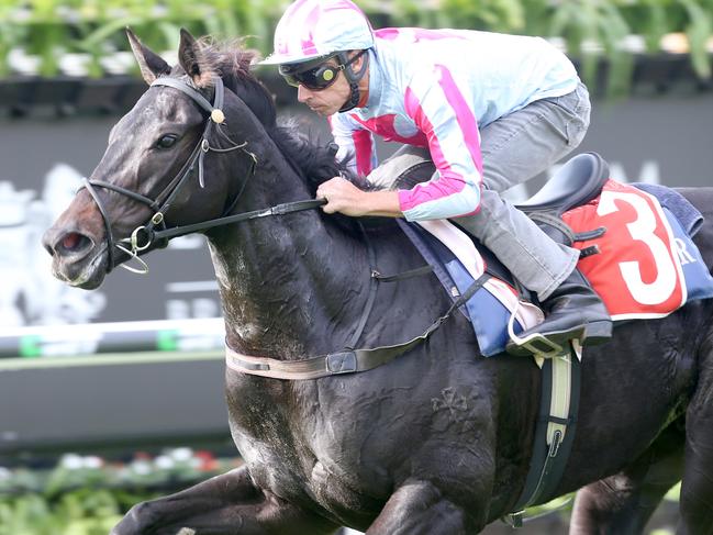 Azkadellia thrives as gates reopen at Eagle Farm