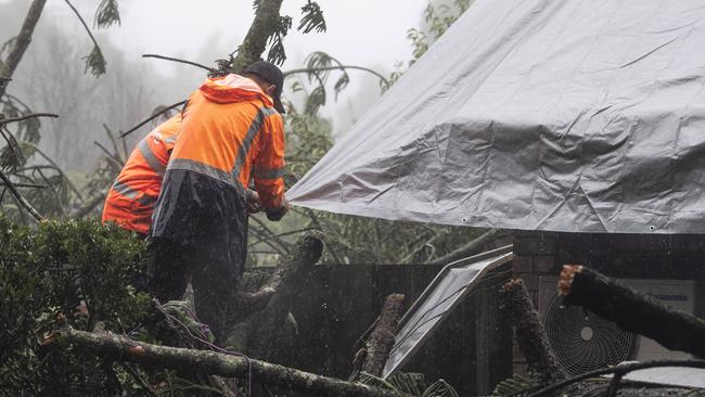 Work to secure a Darling Downs property after a large tree was brought down in the aftermath of ex-Tropical Cyclone Alfred. Picture: Kevin Farmer