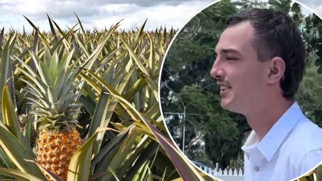 Caleb Mead, 20, pictured, told the court he had been working on the Maxwellsâ&#128;&#153; farm when the incident happened on August 1, 2022, when he was picking pineapples with other workers.