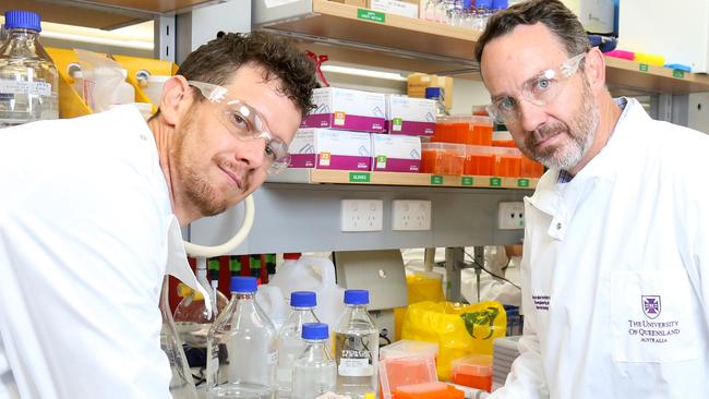 Dr Keith Chappell and Dr Trent Munro are working on a vaccine. Photo Steve Pohlner