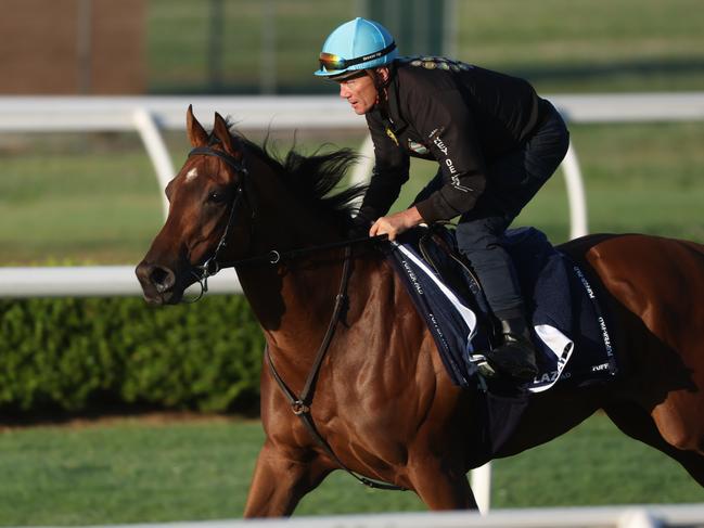 (PLEAE CHECK HORSE NAMES) Believed to be either French gun Lazzat or English star Lake Forest. (NEED TO CONFIRM CORRECT HORSE ID).  The Daily telegraph 23.10.2024 Golden Eagle runners, Track work at Canterbury Park.  Picture: Rohan Kelly