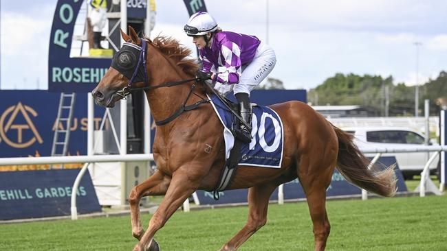 Highly Tempted can stamp himself as a Country Championships contender with a win at Port Macquarie. Picture: Bradley Photos