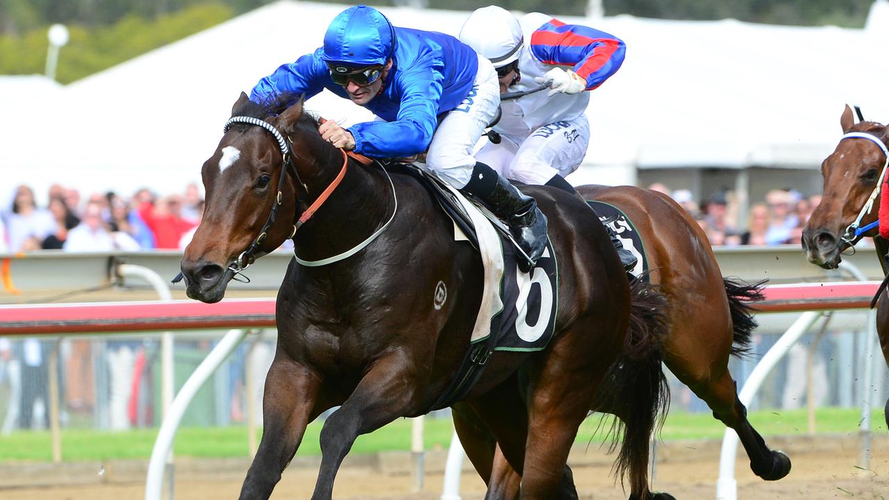 Horse Racing 2020: Carl Spry hopeful about former Godolphin sprinter ...