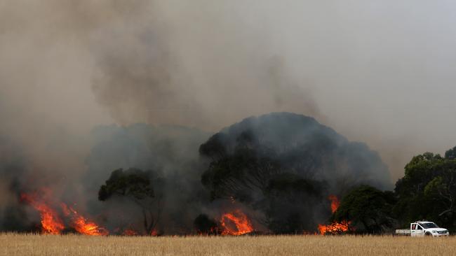 The Morris family and CFS firefighters battle bushfires at the edge of their farm in Karatta on Monday. Picture: Lisa Maree Williams/Getty Images