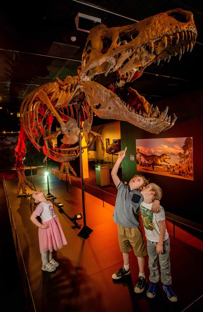 Brothers Alex, 9, and Theodore, 7, and Tegan Chenoweth, 5, got a sneak peek at Scotty the T-rex at the SA Museum’s exhibition Six Extinctions. Picture: Naomi Jellicoe