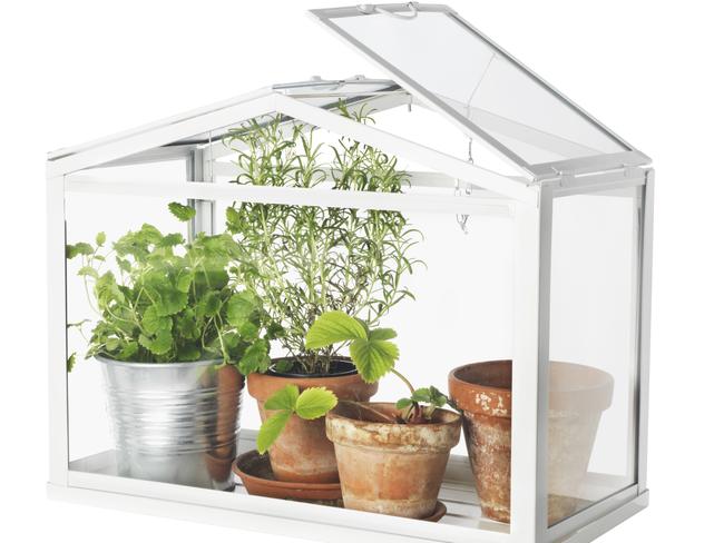 SOCKER Greenhouse, $19.99.