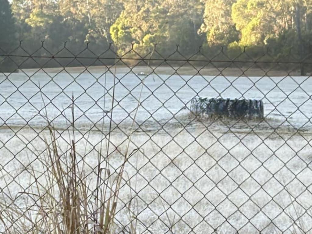 Matthew Heit of Blackbutt snapped this frosty photo on Wednesday morning.