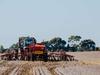 Winter crop sowing set to reach record despite dry conditions