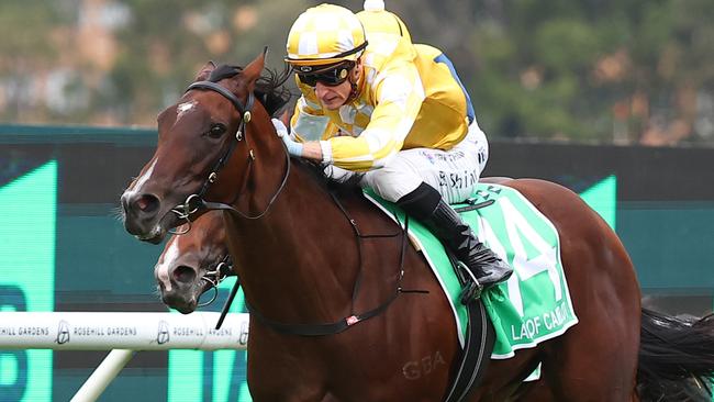 Lady Of Camelot will trial at Hawkesbury on Monday. Picture: Jeremy Ng/Getty Images