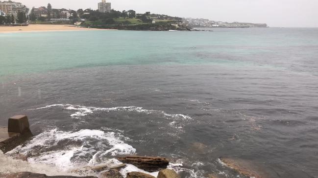 Sewage at Coogee stormwater outlet