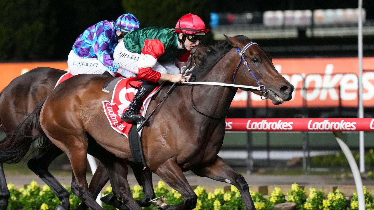 Amelia’s Jewel is set to make the move to Sydney. Picture: Pat Scala—Racing Photos via Getty Images.