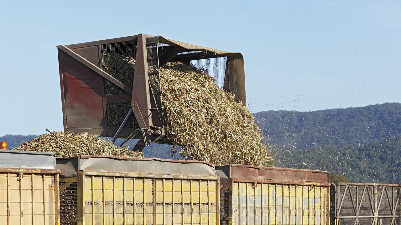 The closure of the Mossman Mill has cast doubt over whether $15m worth of cane – up to 360,000 tonnes – will get harvested in Mossman in the coming months.