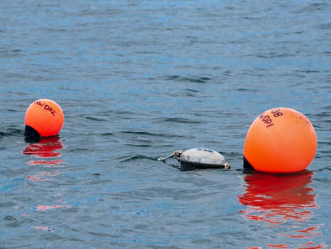 Thirty SMART drumlines are set each day between Manly and Palm Beach to catch potentially dangerous sharks. Picture: Department of Primary Industries