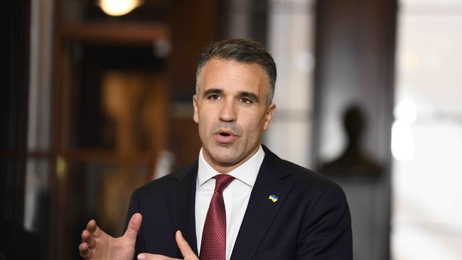 Premier Peter Malinauskas said he became aware of Makai’s death last month. Picture: NCA NewsWire/Naomi Jellicoe