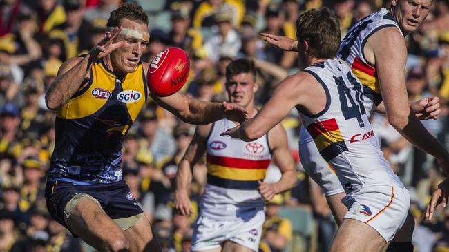 Drew Petrie wins a hard ball on Sunday. Picture: AAP Images